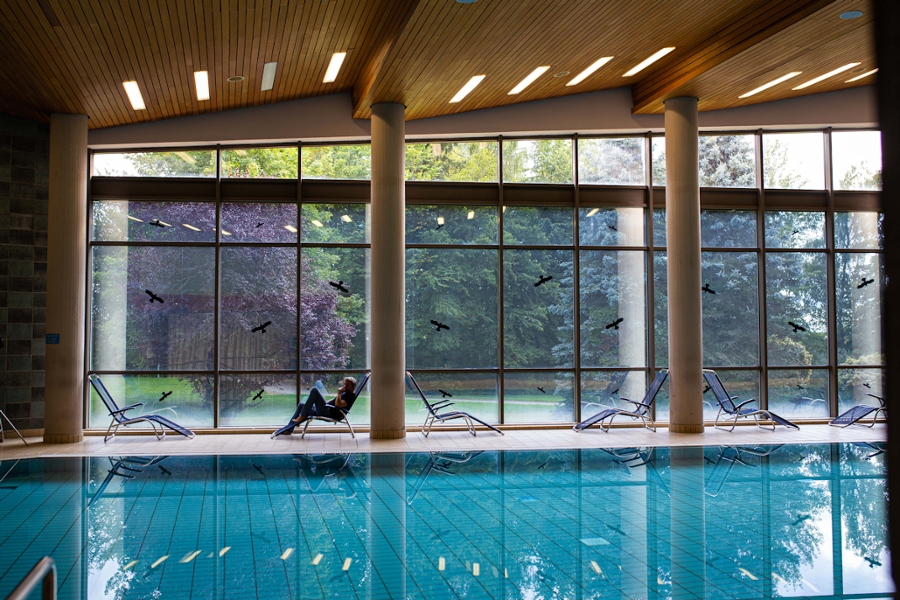 Schwimmbad mit Ruheliegen und Panoramafenster